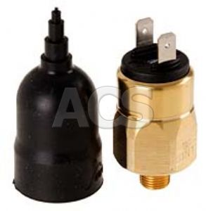 Bosch Pressure Switch w/ Spade Terminals 1/8